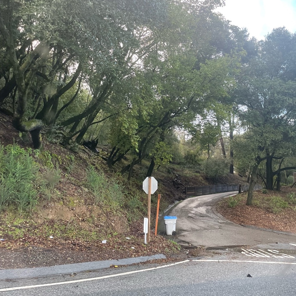 Meet your Posher, Angelina